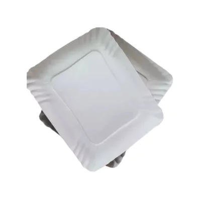 BANDEJA CARTON (N2) x 100 un
