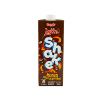LECHE CHOCOLATADA 1 LT.
