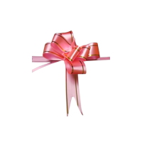 Diseño sin título - 2025-11-25T150631.706